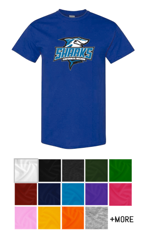 Royal Blue gildan unisex tshirt with school logo